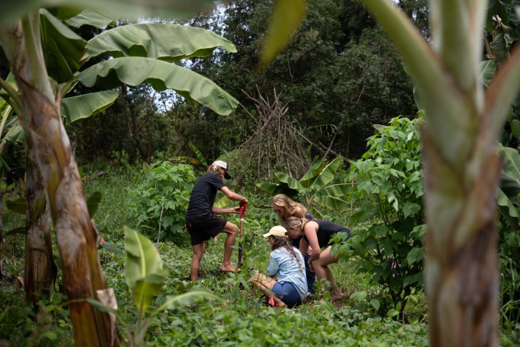 Hamakua Sanctuary 2